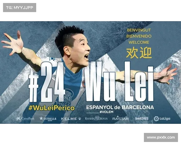 冬窗转会期不可错过的潜力引援与关键市场良机深度解析全景洞察报告